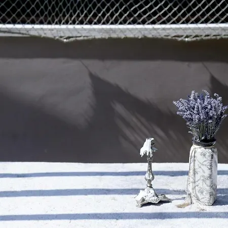 Apartman Casa Romana *