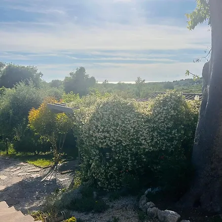 Casa Romana 아파트