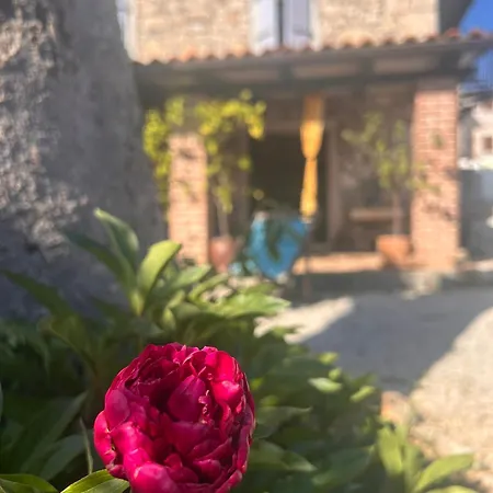 아파트 Casa Romana *