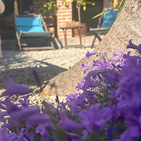 Casa Romana 아파트